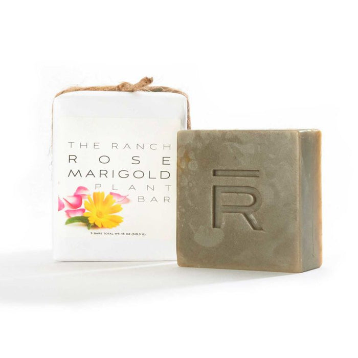 Rose Marigold Plant Bar